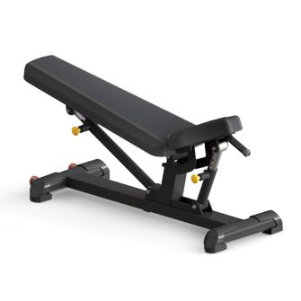 Binom Strength Banco Ajustável